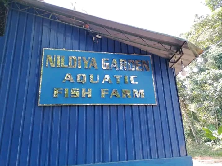 Nildiya Garden Aquatic Fish Farm Signboard